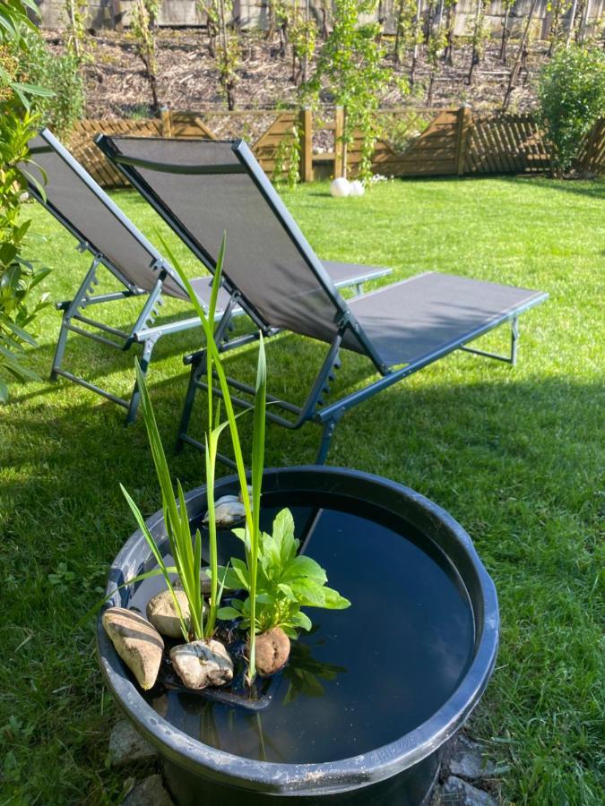 Ferienwohnung Ambiente II Und III Klotten Eksteriør bilde